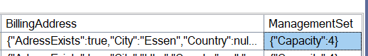 Fehlerhafte Persistierung eines Complex Types in einer JSON-Spalte – nur das Feld "Capacity" wird gespeichert.